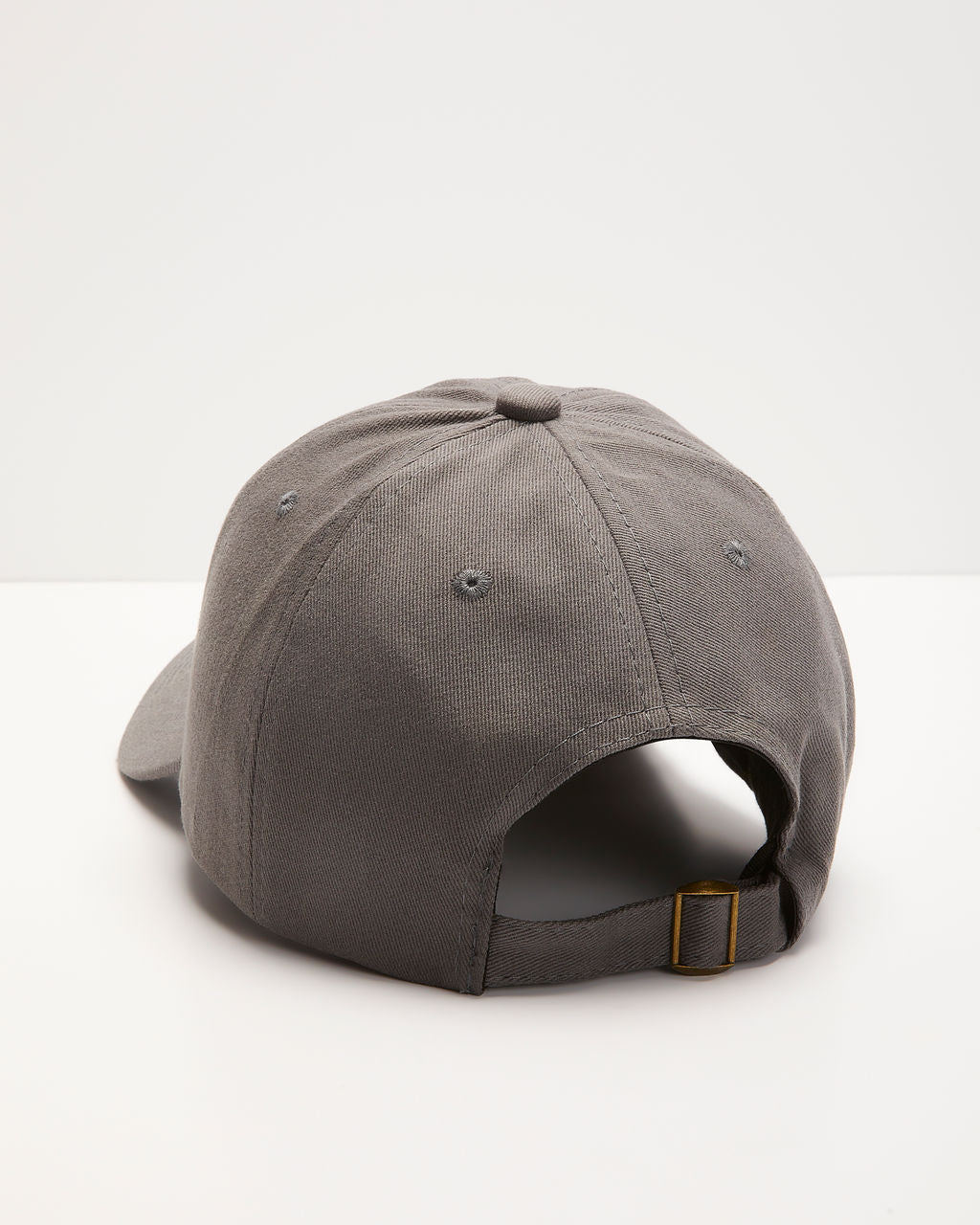 Veni Vidi Vici Baseball Hat – Herobuilt